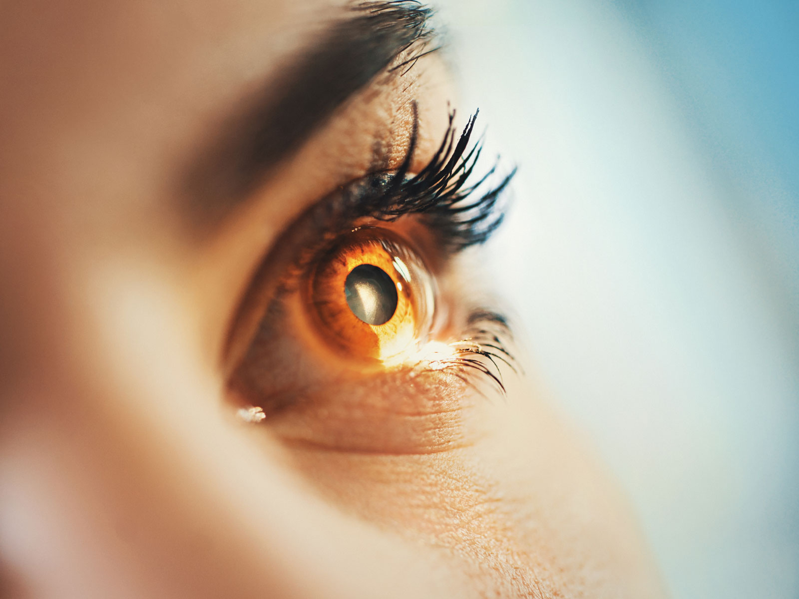 Diabetic Eye Disease Often Lacks Early Symptoms - Health ...