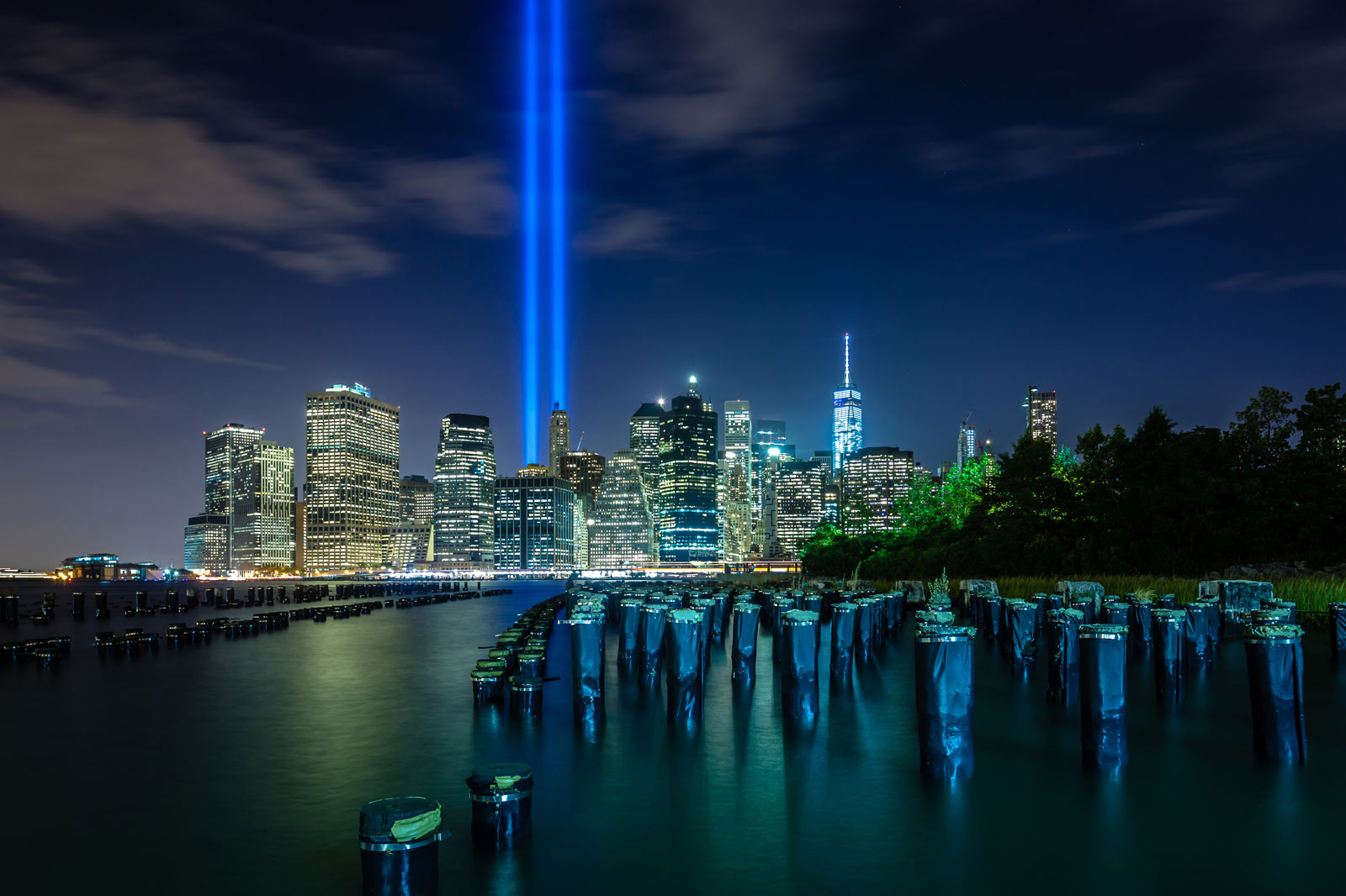 9/11 Survivor Trees a symbol of hope and resilience across the world